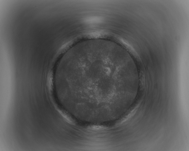 X0000110940590200906191232