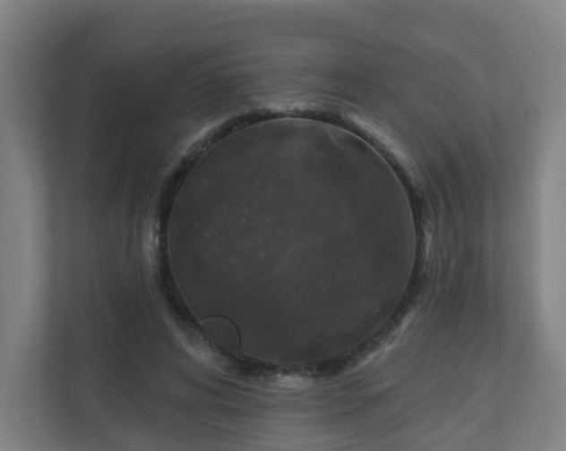 X0000110940592200906191232