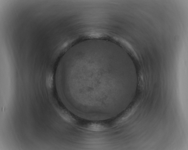 X0000110940596200906191232