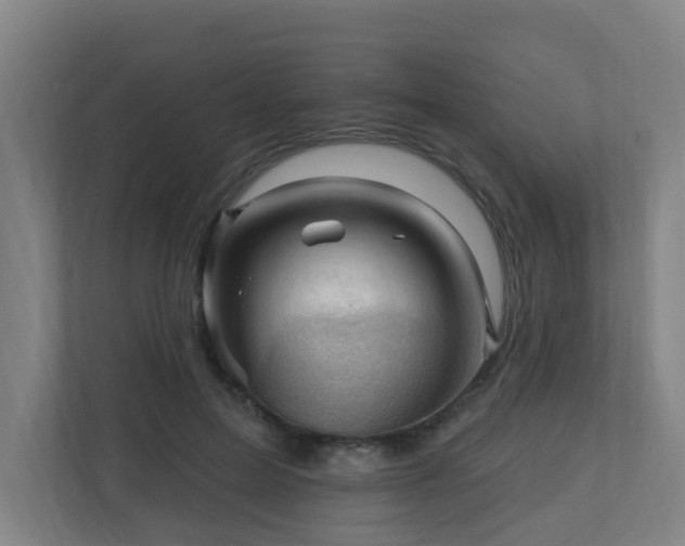 X0000110940599200906191232