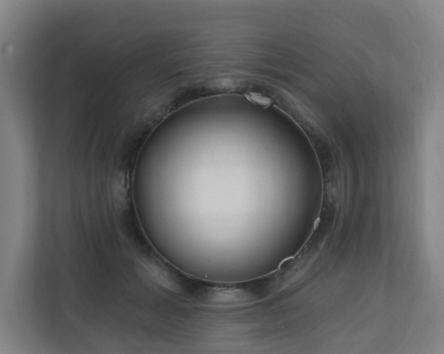 X0000110940605200906191232