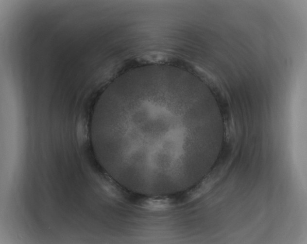 X0000110940606200906191232