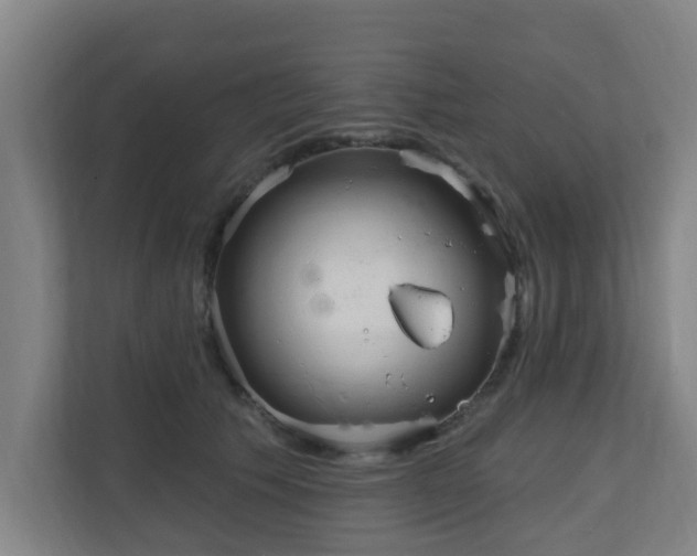 X0000110940609200906191232