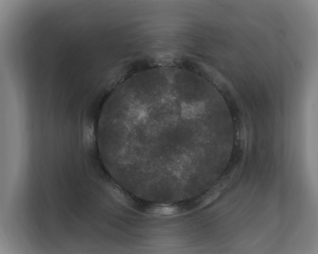 X0000110940610200906191232