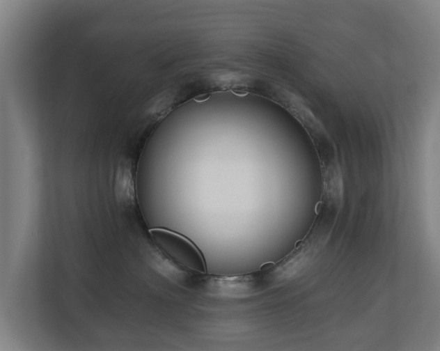 X0000110940622200906191232