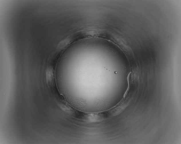 X0000110940623200906191232