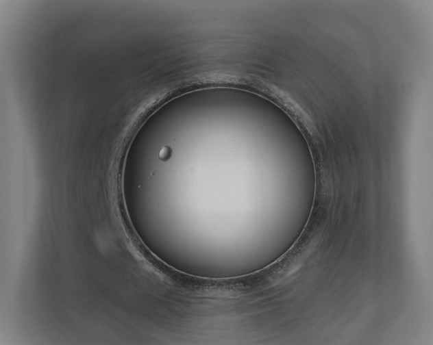 X0000110940625200906191231