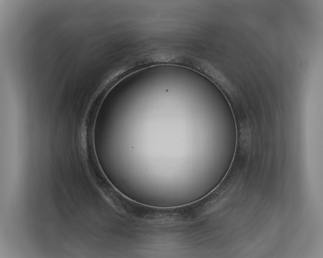 X0000110940626200906191231