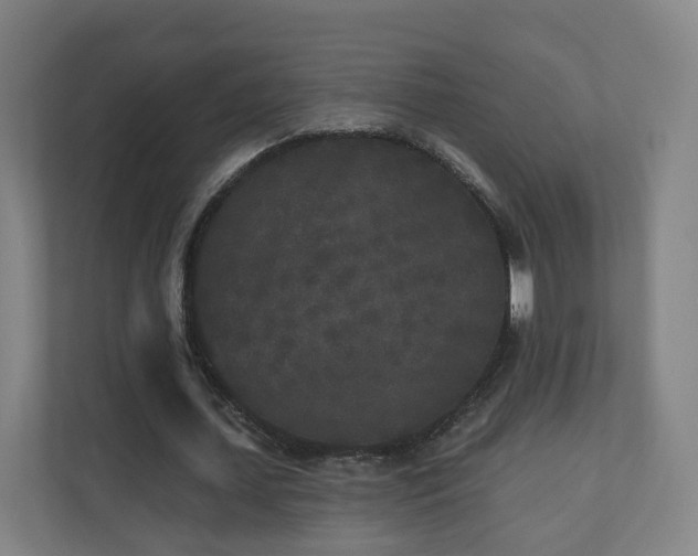 X0000110940627200906191231