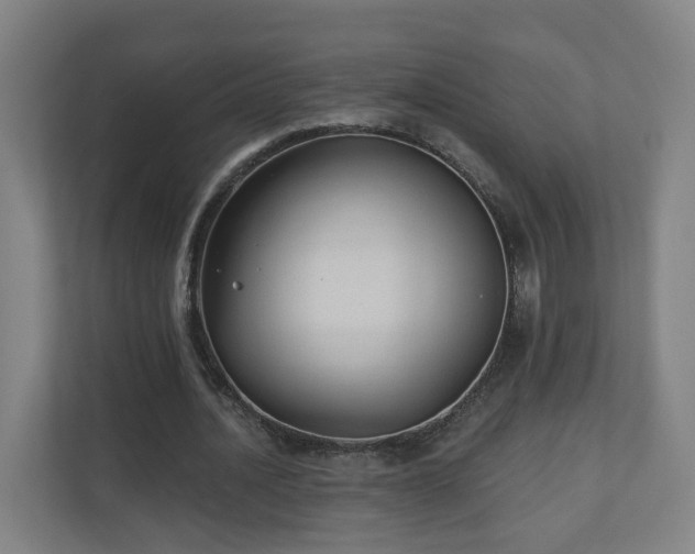 X0000110940628200906191231