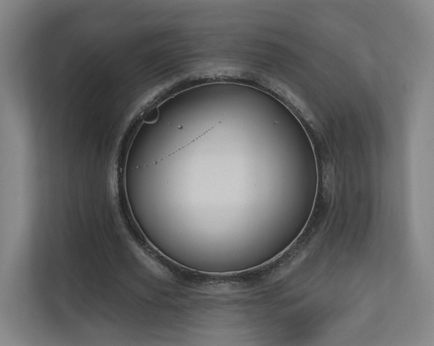 X0000110940629200906191231