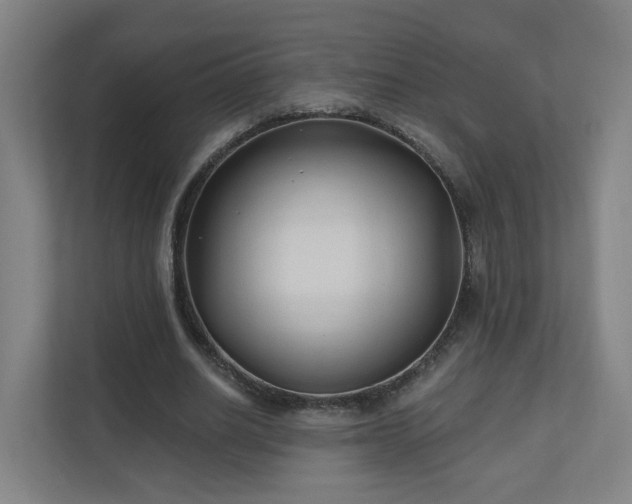 X0000110940630200906191231