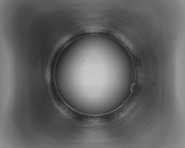 X0000110940631200906191231