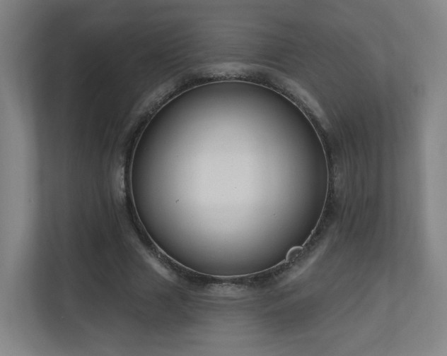 X0000110940633200906191231