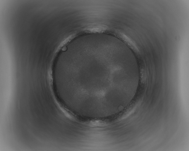 X0000110940634200906191231