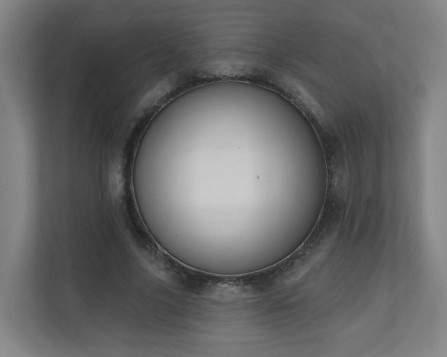 X0000110940635200906191231