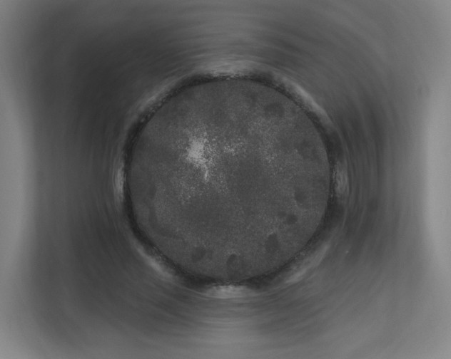 X0000110940637200906191231