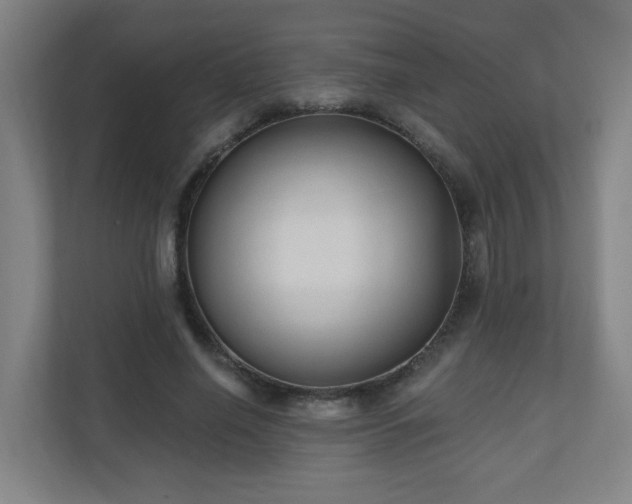 X0000110940638200906191231