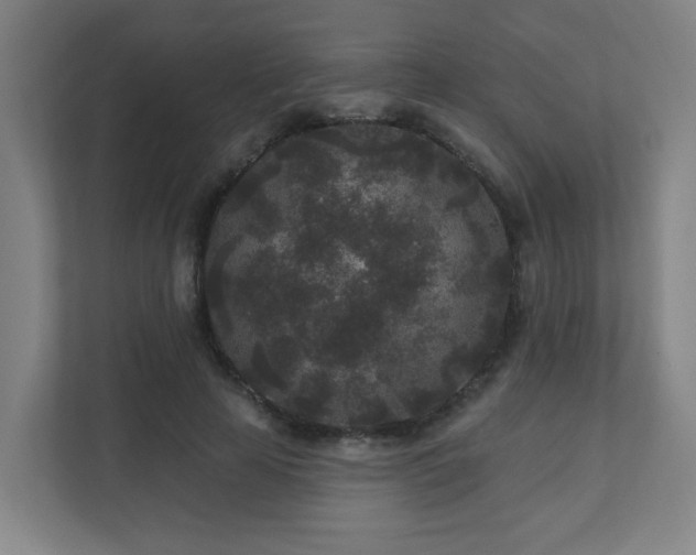 X0000110940641200906191231