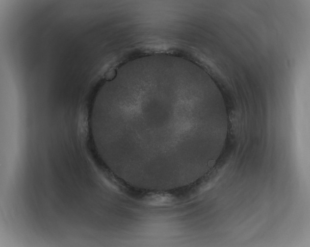 X0000110940642200906191231