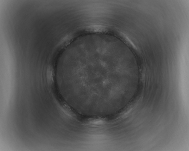 X0000110940643200906191231