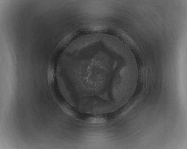 X0000110940644200906191231