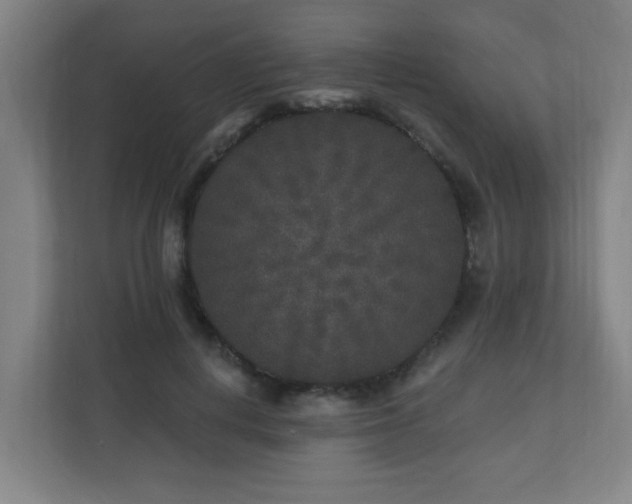 X0000110940648200906191231