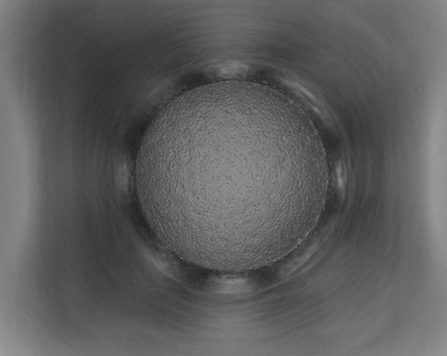 X0000110940651200906191231