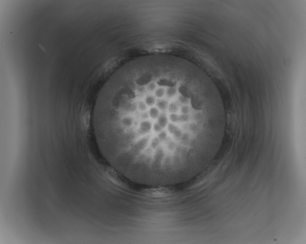 X0000110940652200906191231