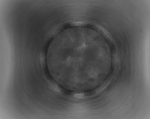 X0000110940653200906191231