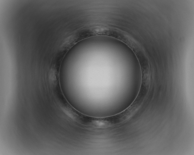 X0000110940654200906191231