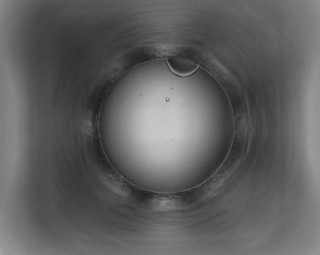 X0000110940655200906191231