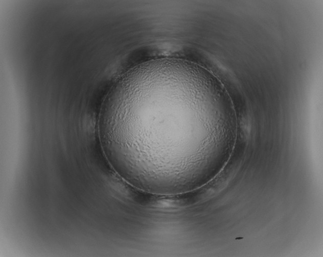 X0000110940657200906191231