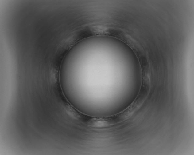 X0000110940658200906191231