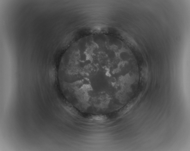 X0000110940659200906191231