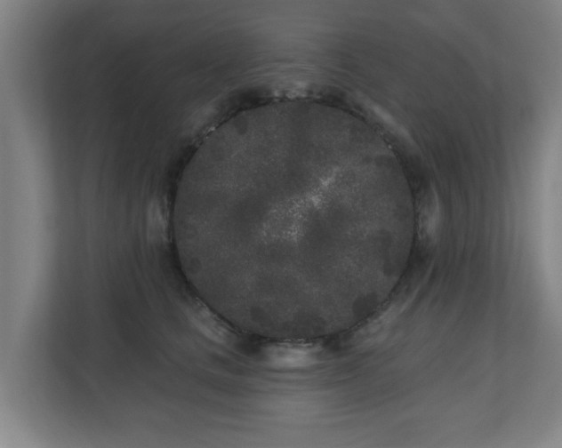 X0000110940661200906191232