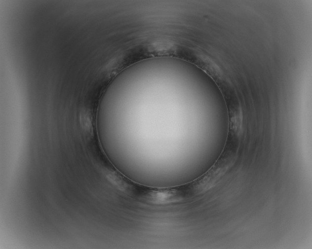 X0000110940662200906191232