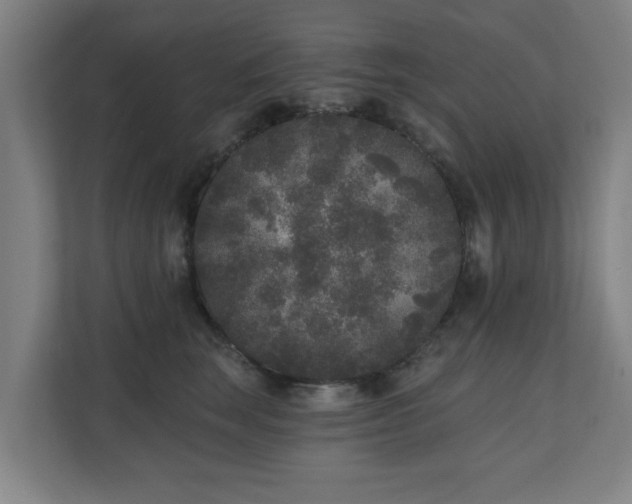 X0000110940663200906191232