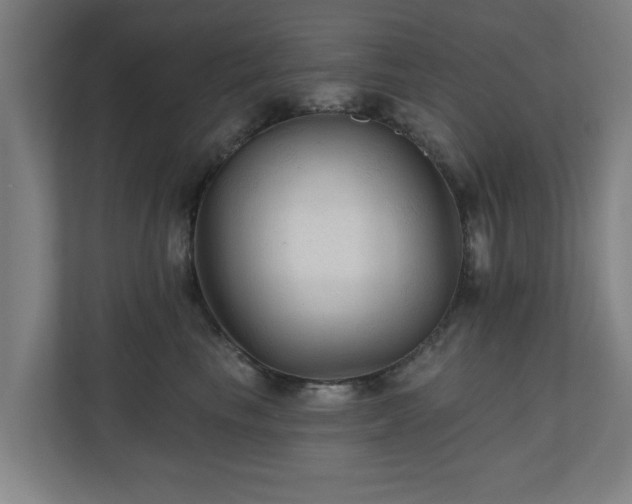 X0000110940665200906191232