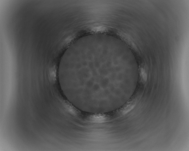 X0000110940668200906191232