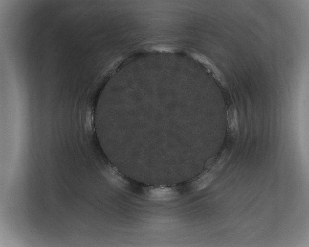 X0000110940669200906191232