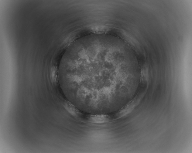 X0000110940671200906191232