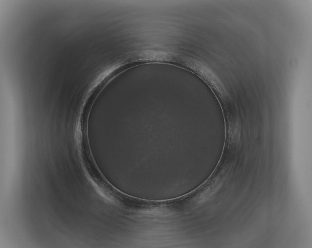 X0000110940674200906191231