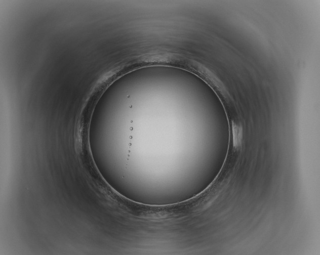 X0000110940675200906191231