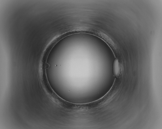 X0000110940676200906191231