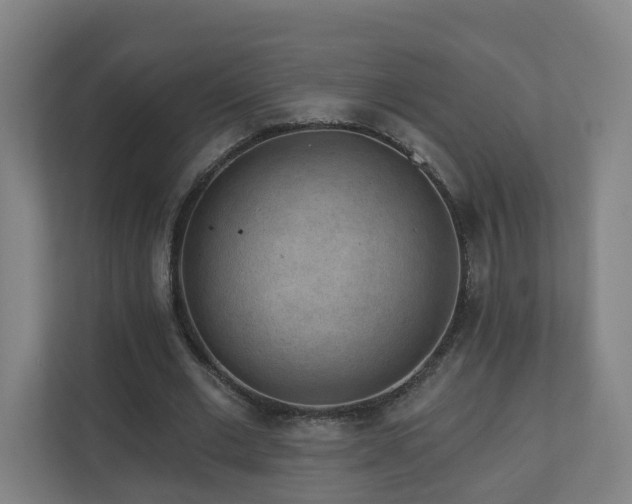 X0000110940677200906191231