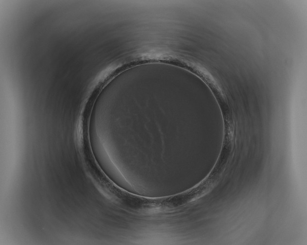 X0000110940678200906191231