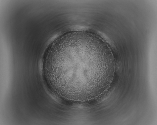 X0000110940679200906191231