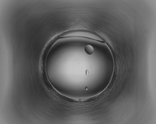 X0000110940680200906191231