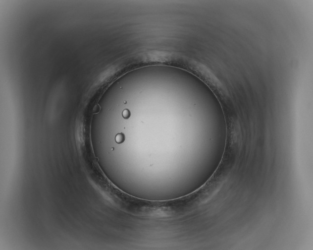 X0000110940683200906191231